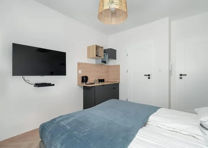 Cozy And Bright In By Renters Apartment Poznan